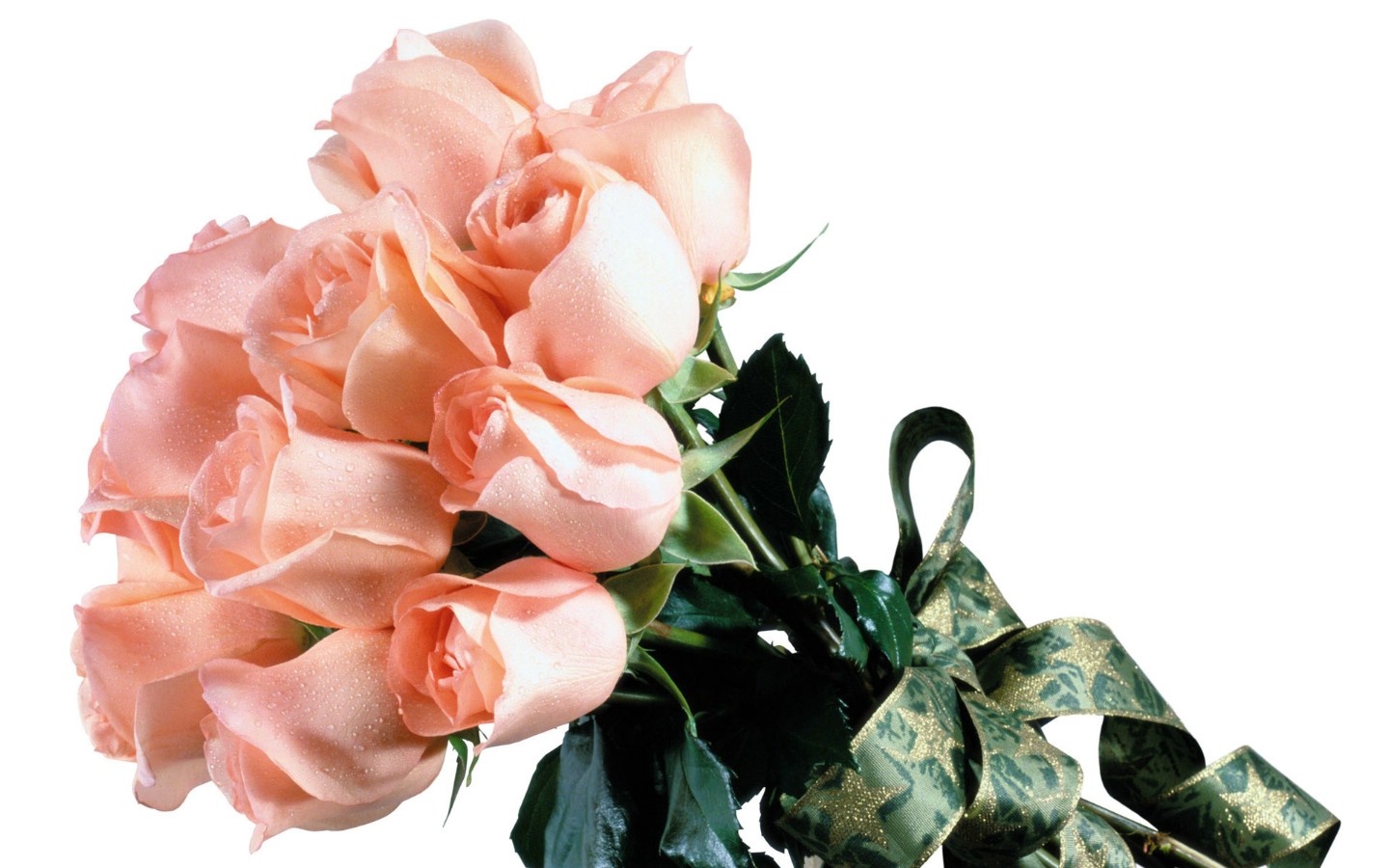 壁纸1440x900玫瑰写真 3 12壁纸 玫瑰写真壁纸 玫瑰写真图片 玫瑰写真素材 花卉壁纸 花卉图库 花卉图片素材桌面壁纸