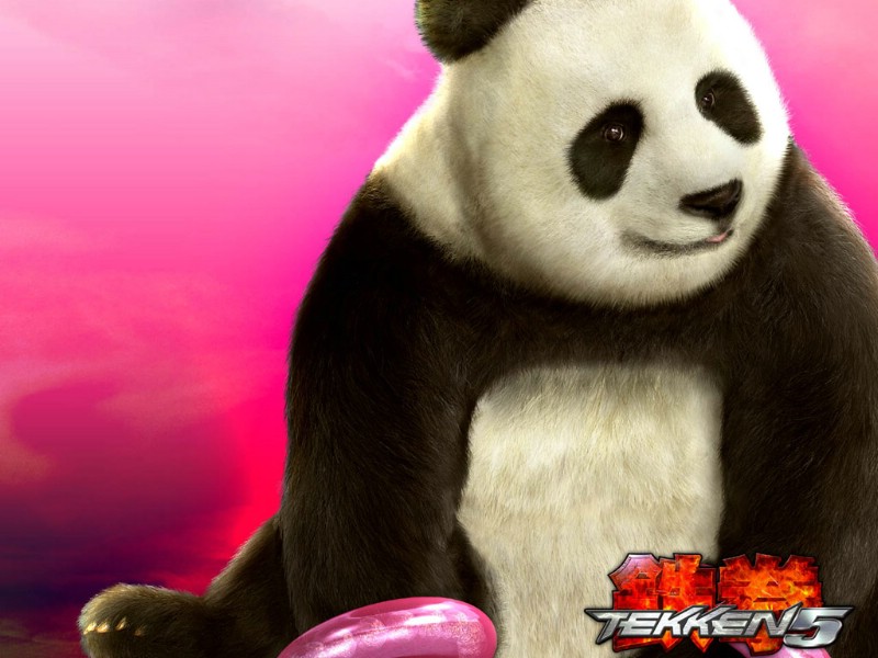 壁纸800x600Tekken5 1 23壁纸 单个游戏 Tekken5 第一辑壁纸 单个游戏 Tekken5 第一辑图片 单个游戏 Tekken5 第一辑素材 游戏壁纸 游戏图库 游戏图片素材桌面壁纸