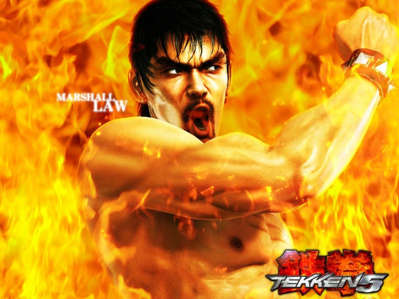 壁纸800x600Tekken5 1 16壁纸 单个游戏 Tekken5 第一辑壁纸 单个游戏 Tekken5 第一辑图片 单个游戏 Tekken5 第一辑素材 游戏壁纸 游戏图库 游戏图片素材桌面壁纸